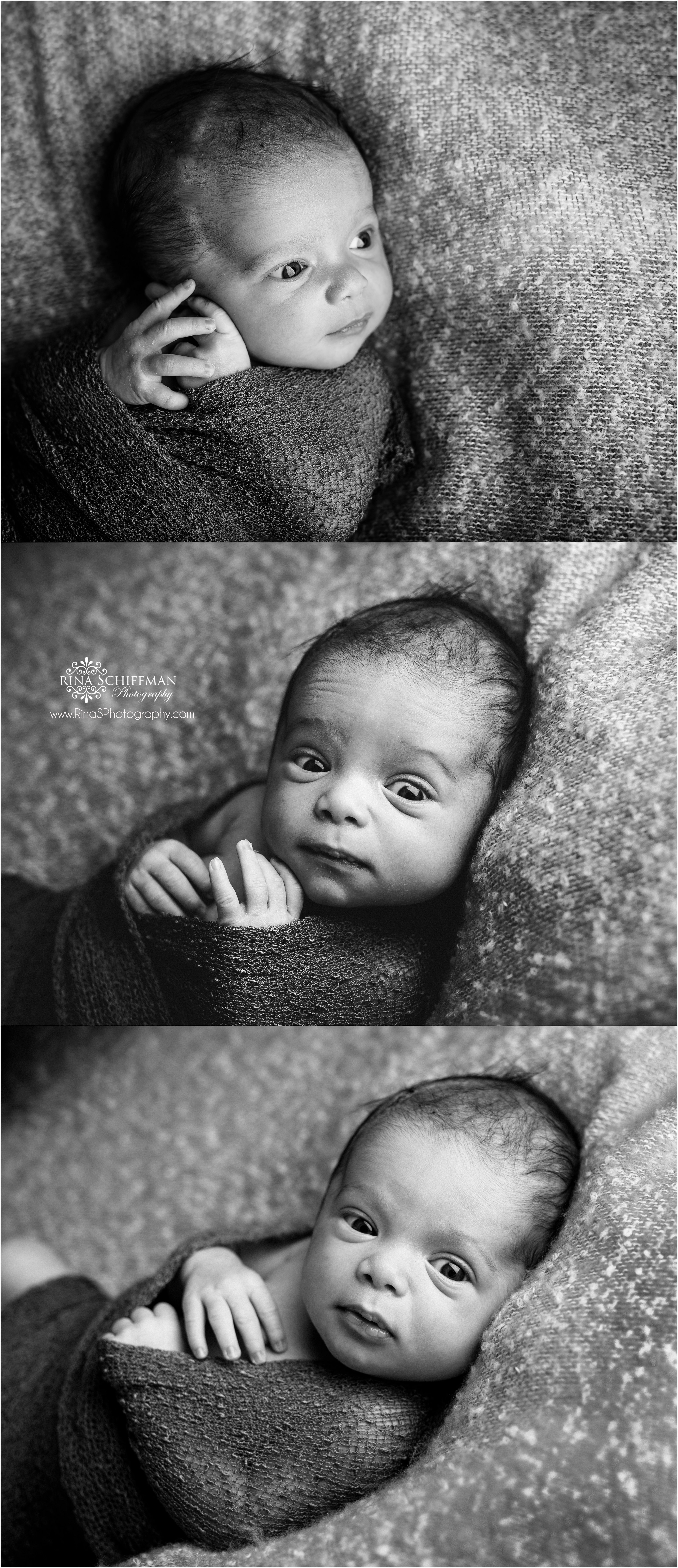 NY Newborn Photographer