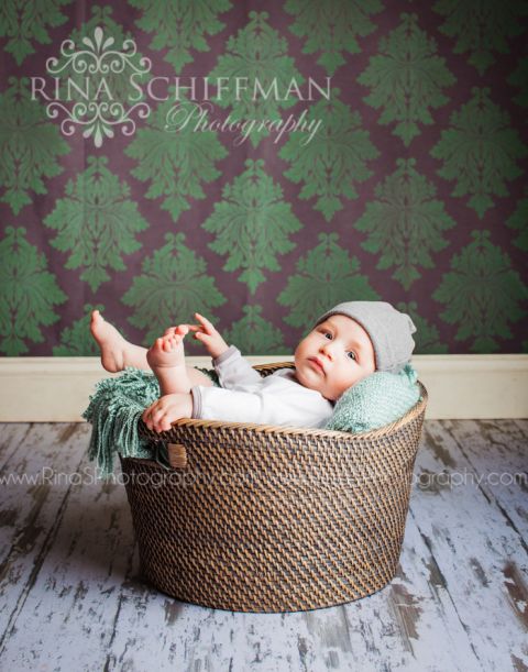 baby boy studio portraits