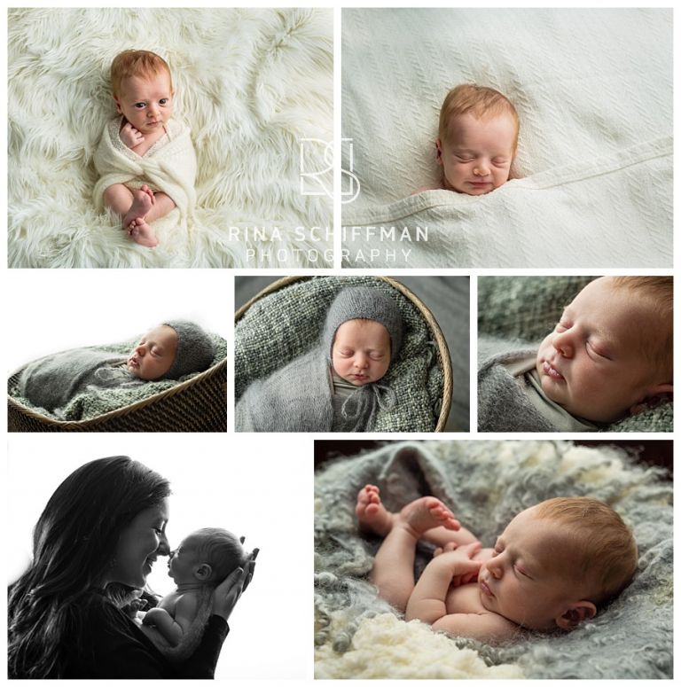 newborn and baby photographer NY 